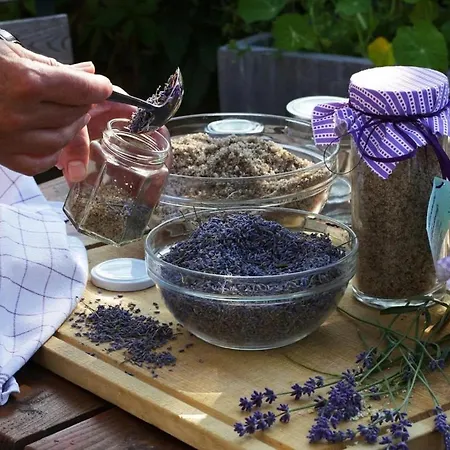 Haferland Hotel Wieck